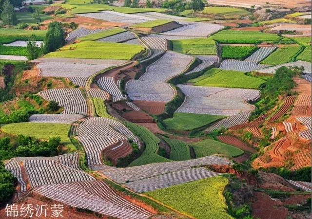 沂蒙山小调简谱 —小山村里唱出的中国优秀民歌4