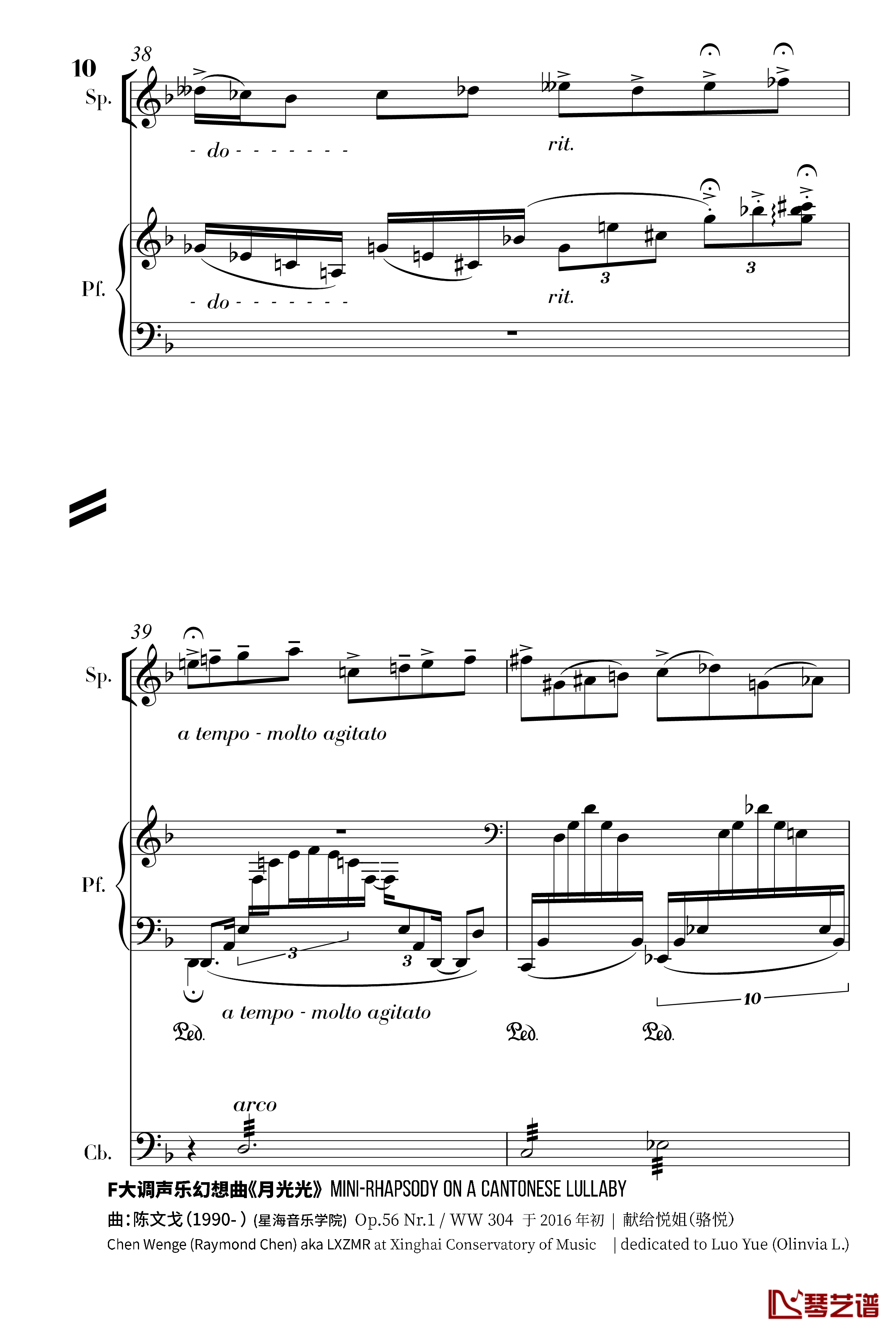 月光光钢琴谱-声乐幻想曲-陈文戈10