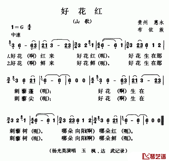 好花红简谱-布依族山歌1