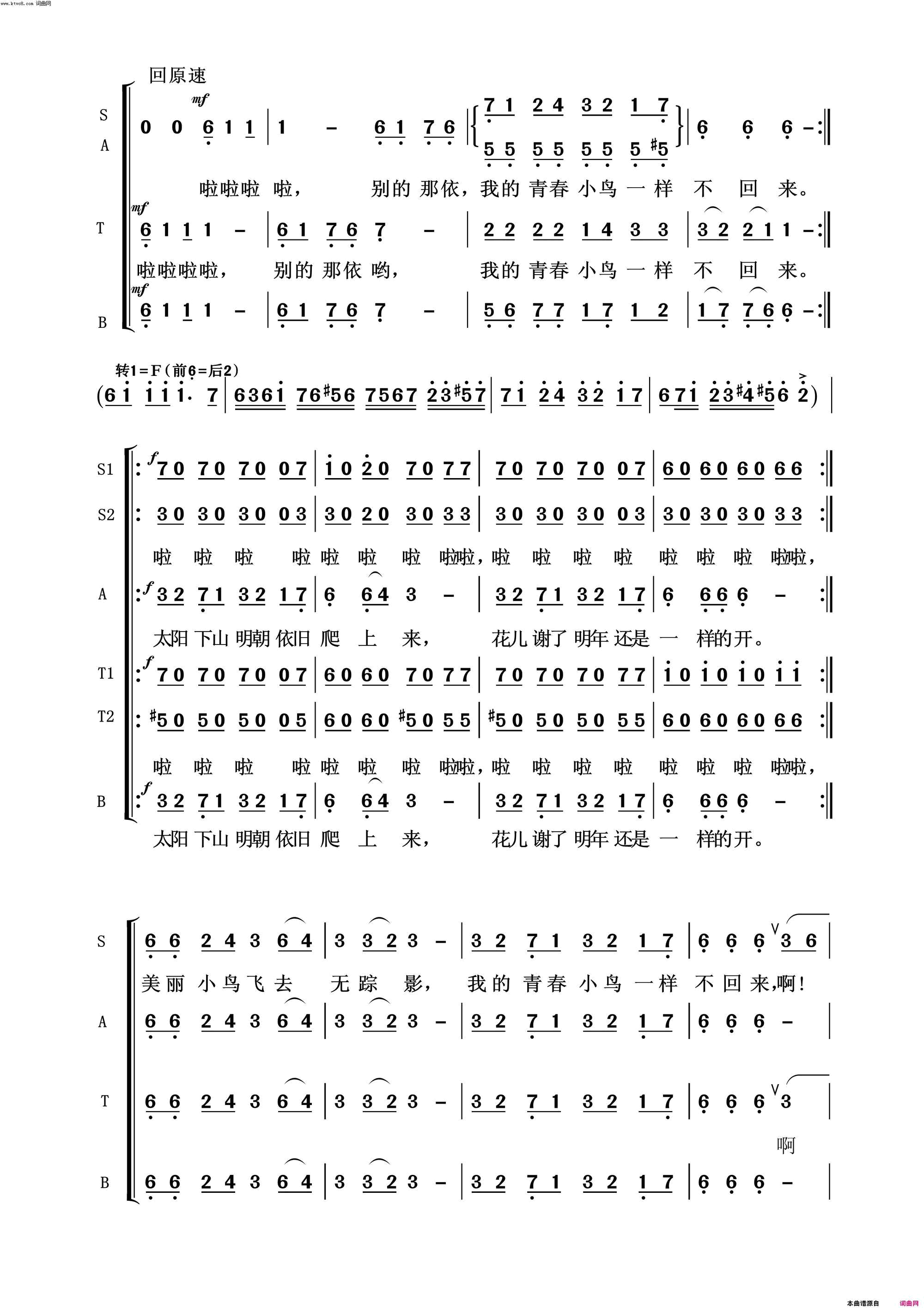 青春舞曲常青放歌简谱1