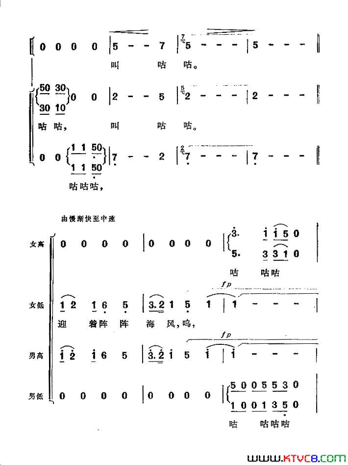 小鸽子啊！飞呀简谱1