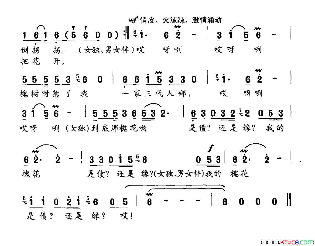 槐花开简谱1