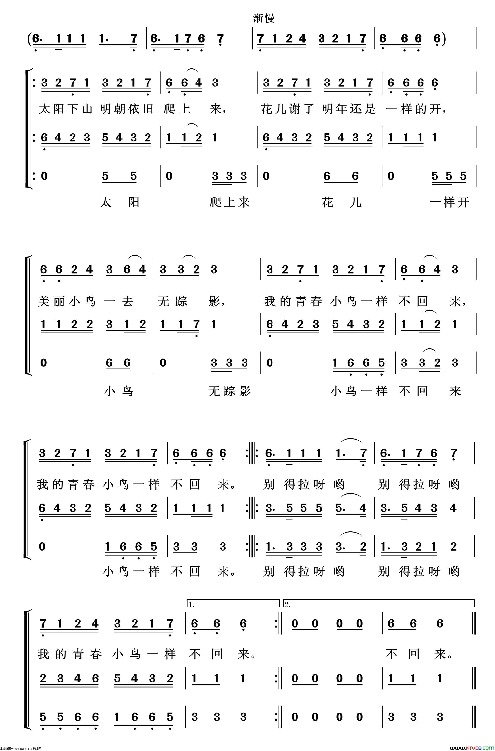 青春舞曲重唱歌曲100首简谱1