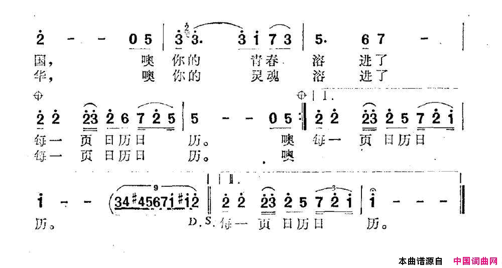 永恒的日历简谱1