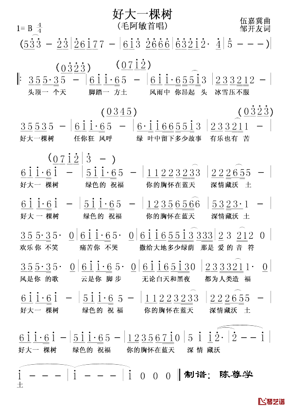 好大一棵树简谱-毛阿敏演唱1
