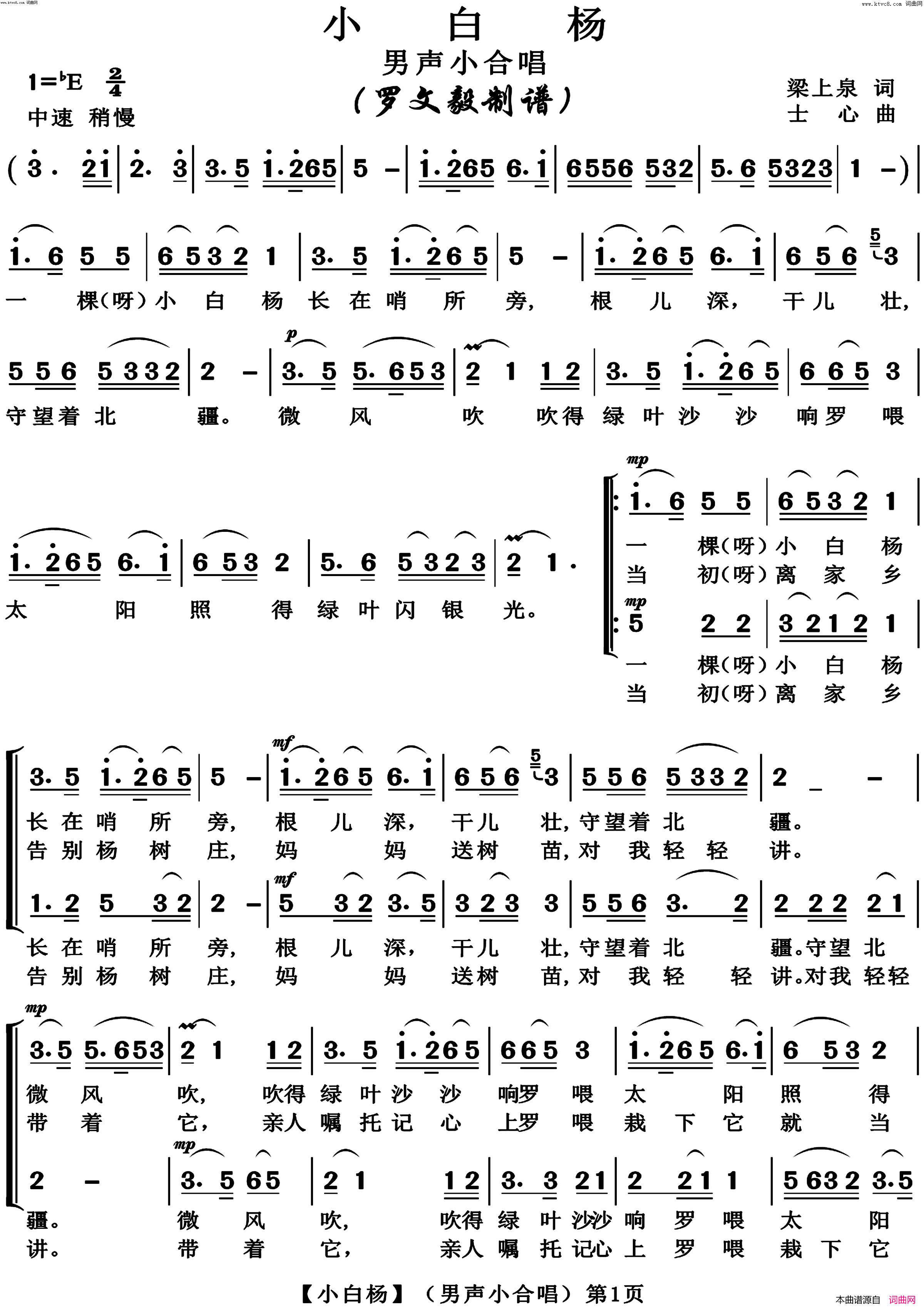 《小白杨(男生小合唱)》简谱 梁上泉作词 士心作曲  第1页