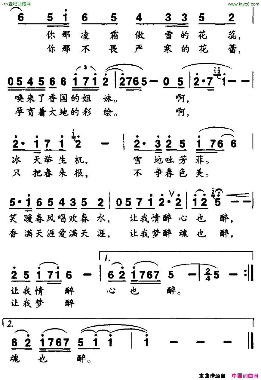 雪中红梅简谱1