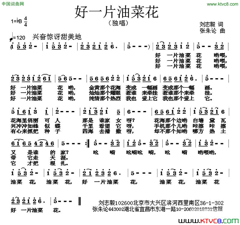 好一片油菜花简谱1