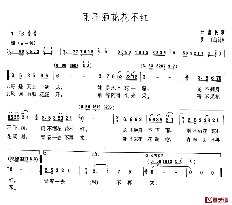 雨不洒花花不红简谱-罗丁词/罗丁曲1