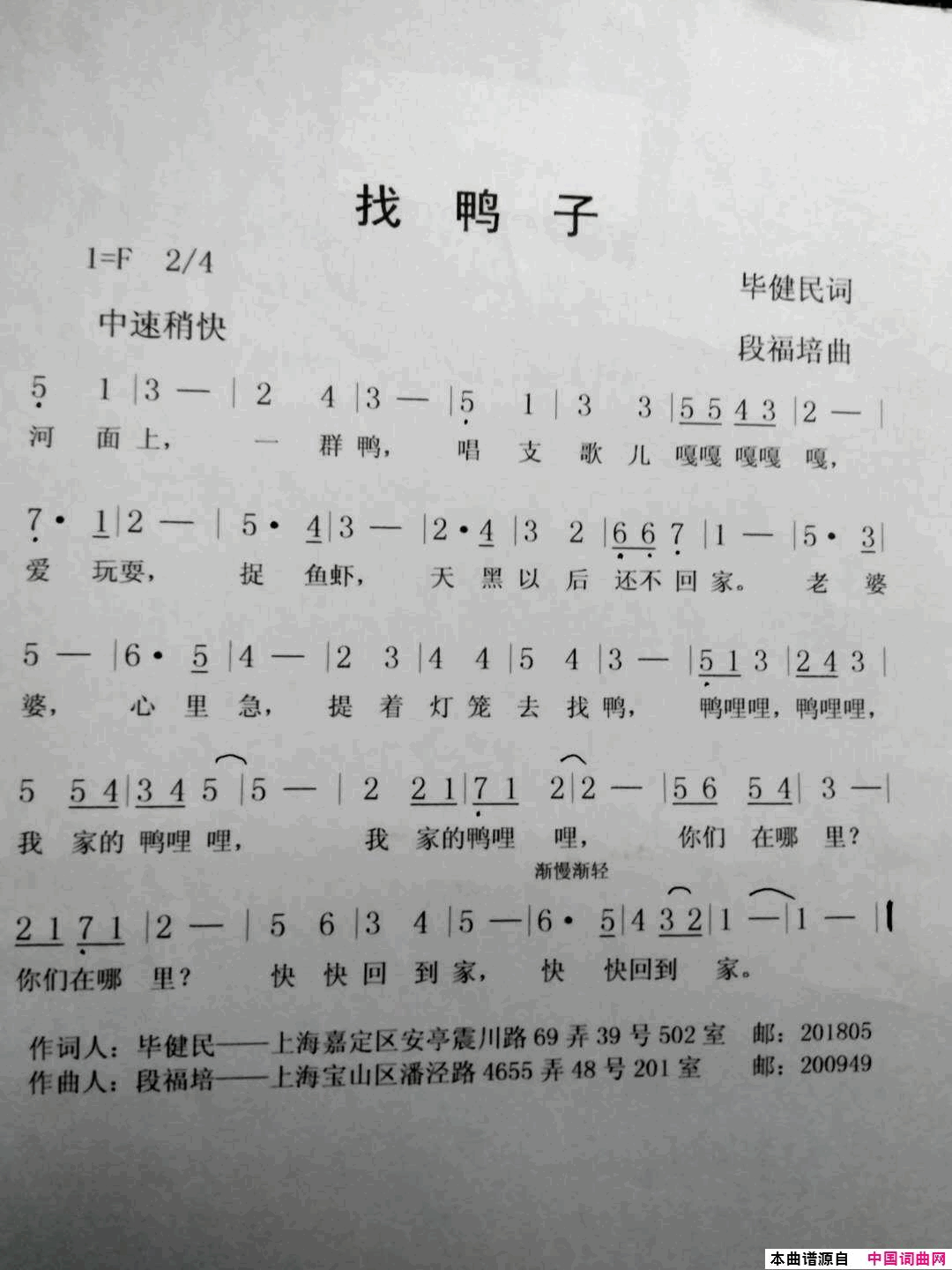 找鸭子简谱1