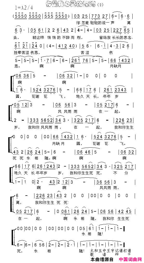 你是我心灵的港湾简谱2简谱-戴玉强演唱1