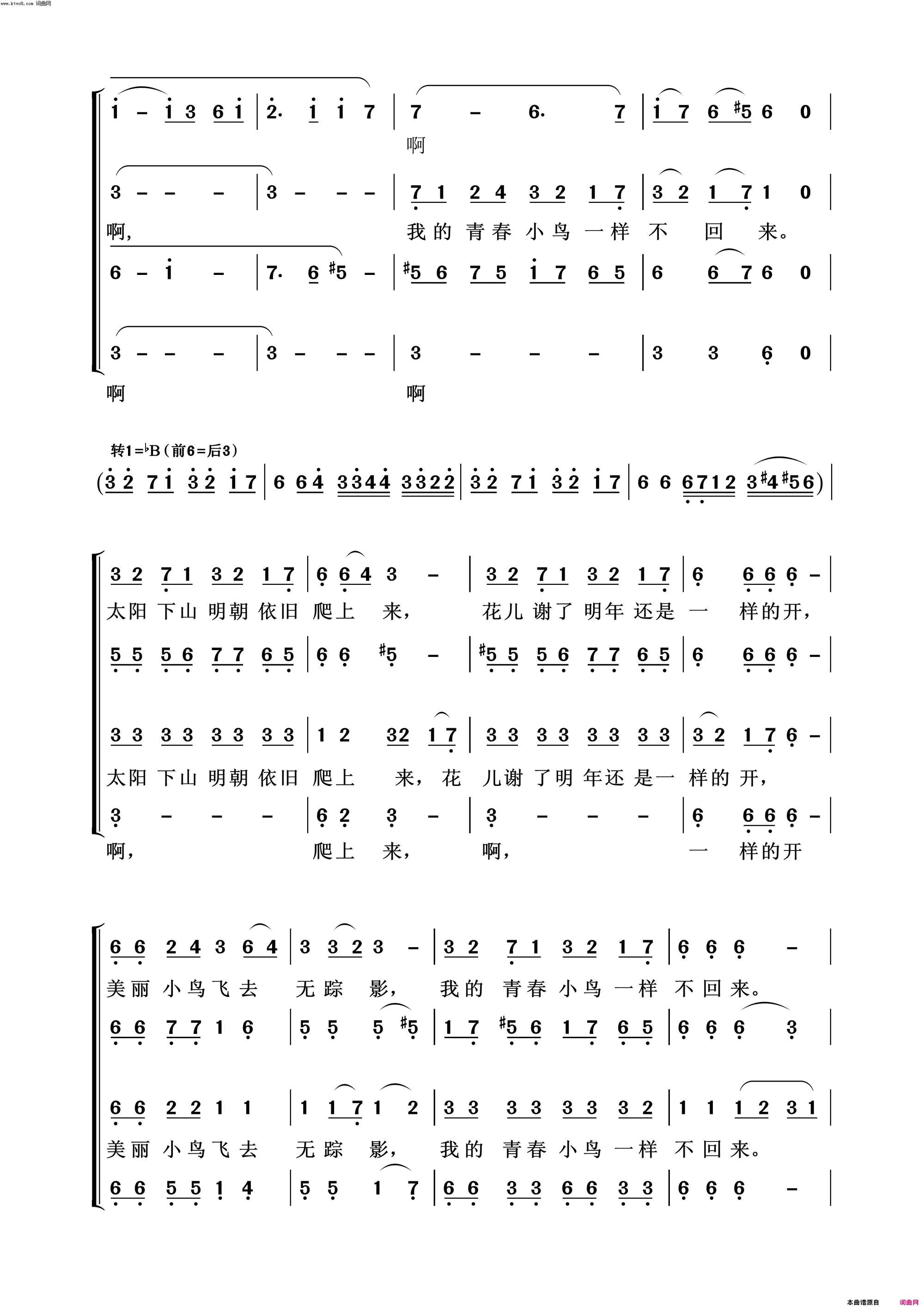 青春舞曲常青放歌简谱1