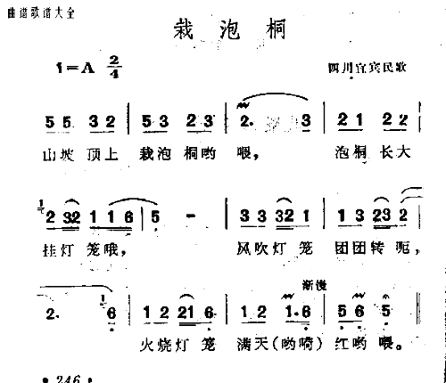 载泡桐简谱1