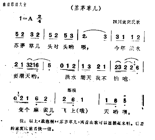 载泡桐简谱1