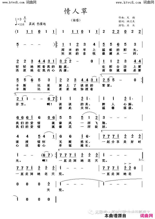 情人草简谱-石风安演唱-纳兰末/天韵词曲1