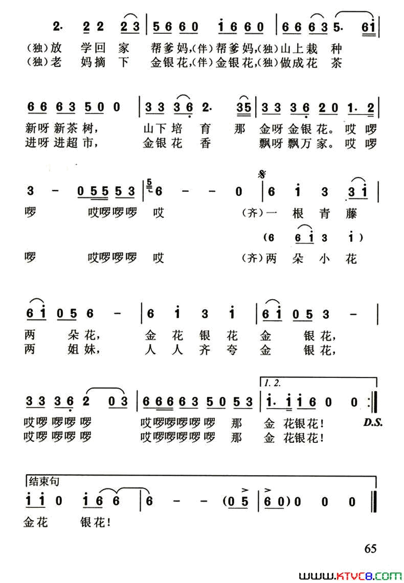 金花银花金银花简谱-荆雯馨演唱-李幼容/曹明辉词曲1