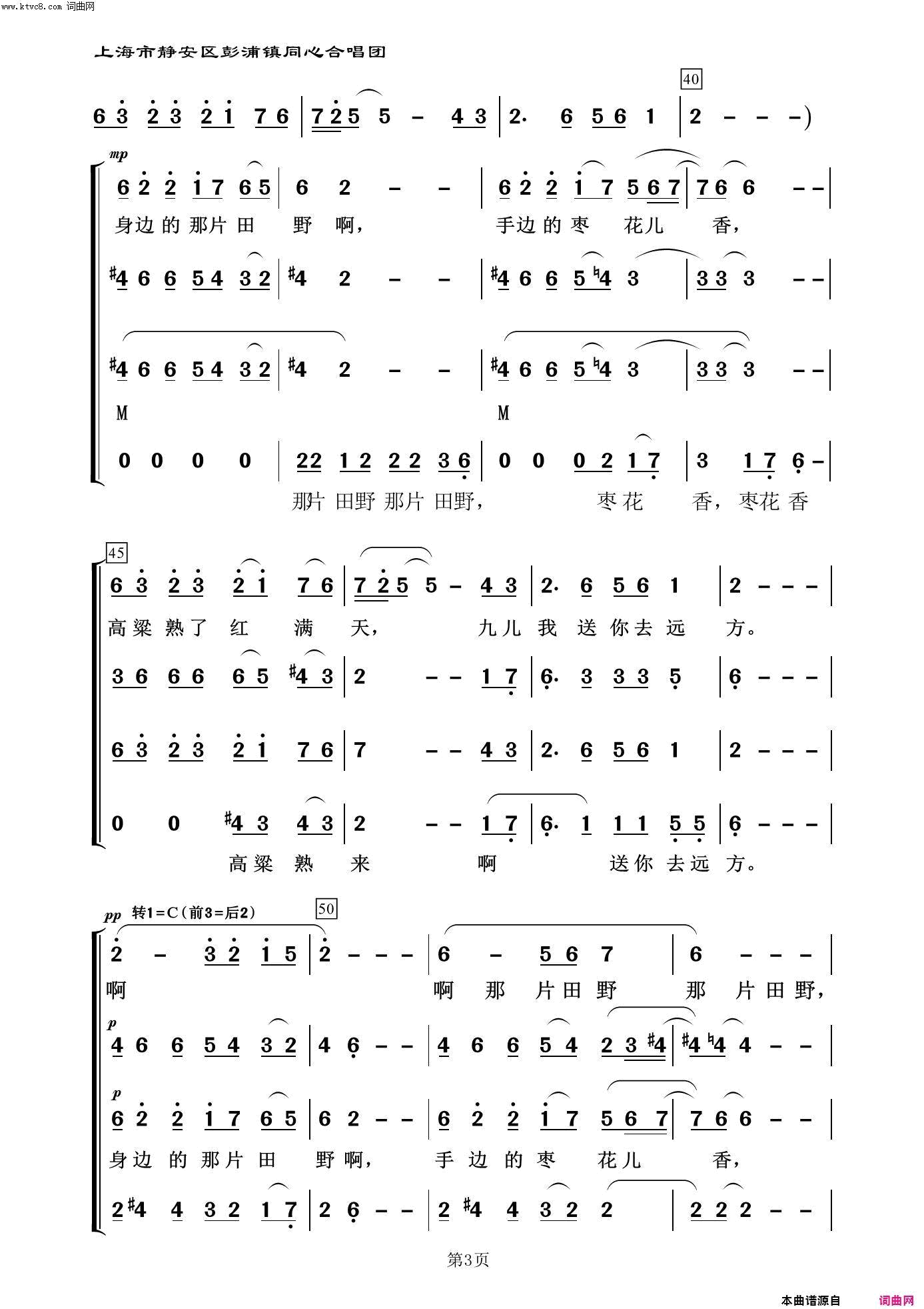 九儿常青放歌二简谱1