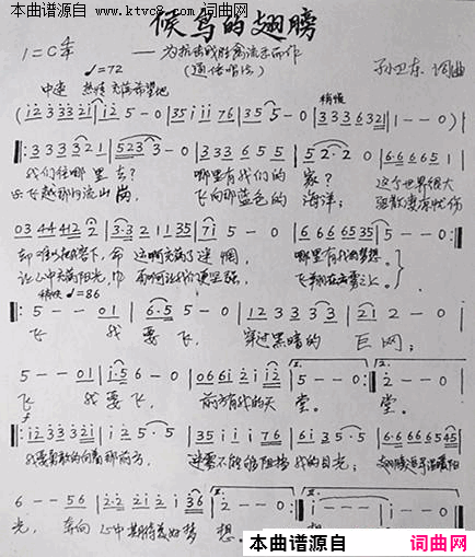 候鸟的翅膀简谱1