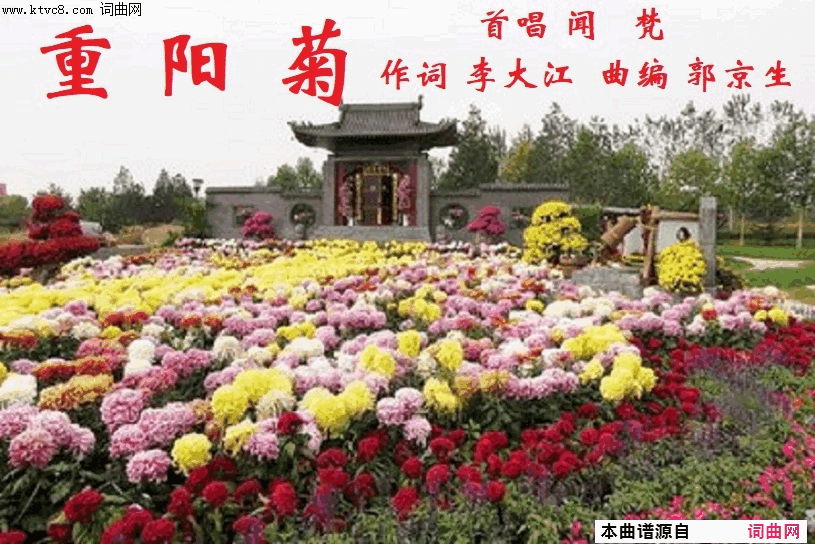 重阳菊简谱-闻梵演唱-李大江/郭京生词曲1