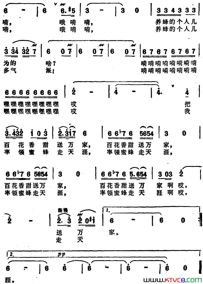 我率领蜜蜂走天涯简谱1