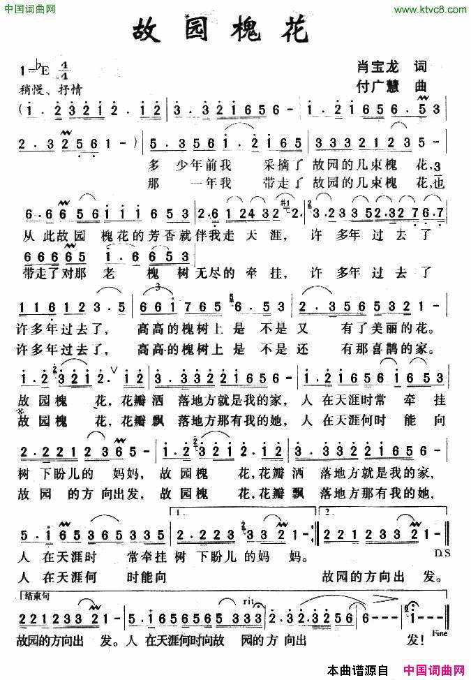 故园槐花简谱1