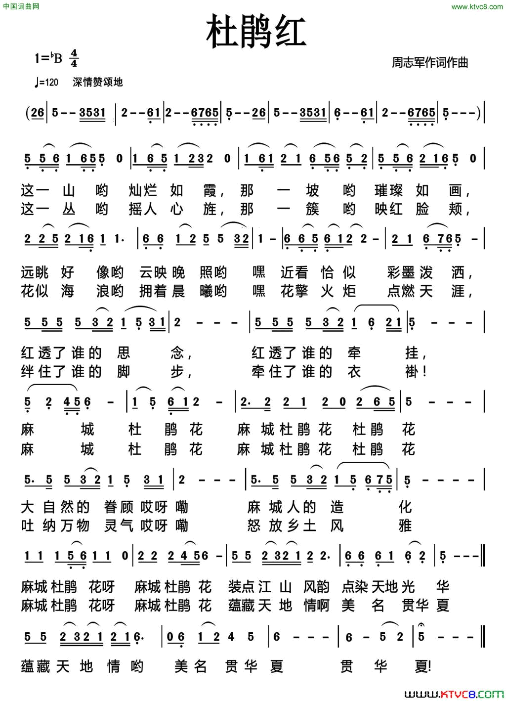杜鹃红简谱-王莹演唱-周志军/周志军词曲1