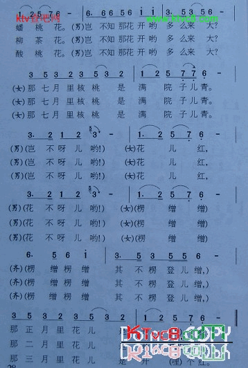 对花陕北民歌简谱1