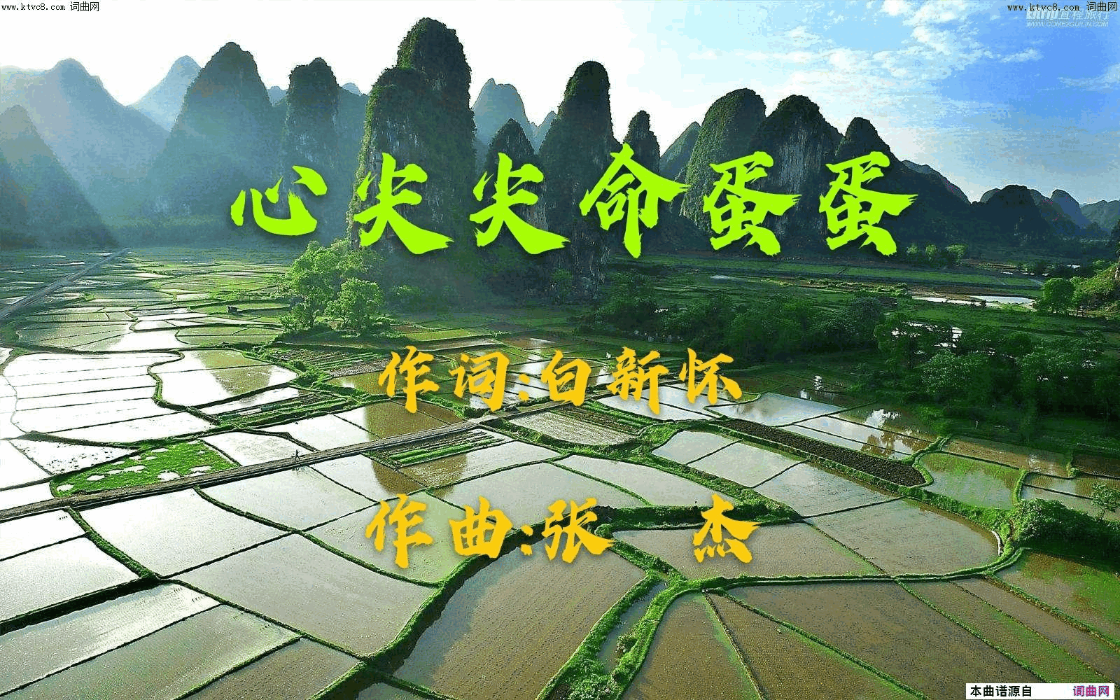 心尖尖命蛋蛋简谱1