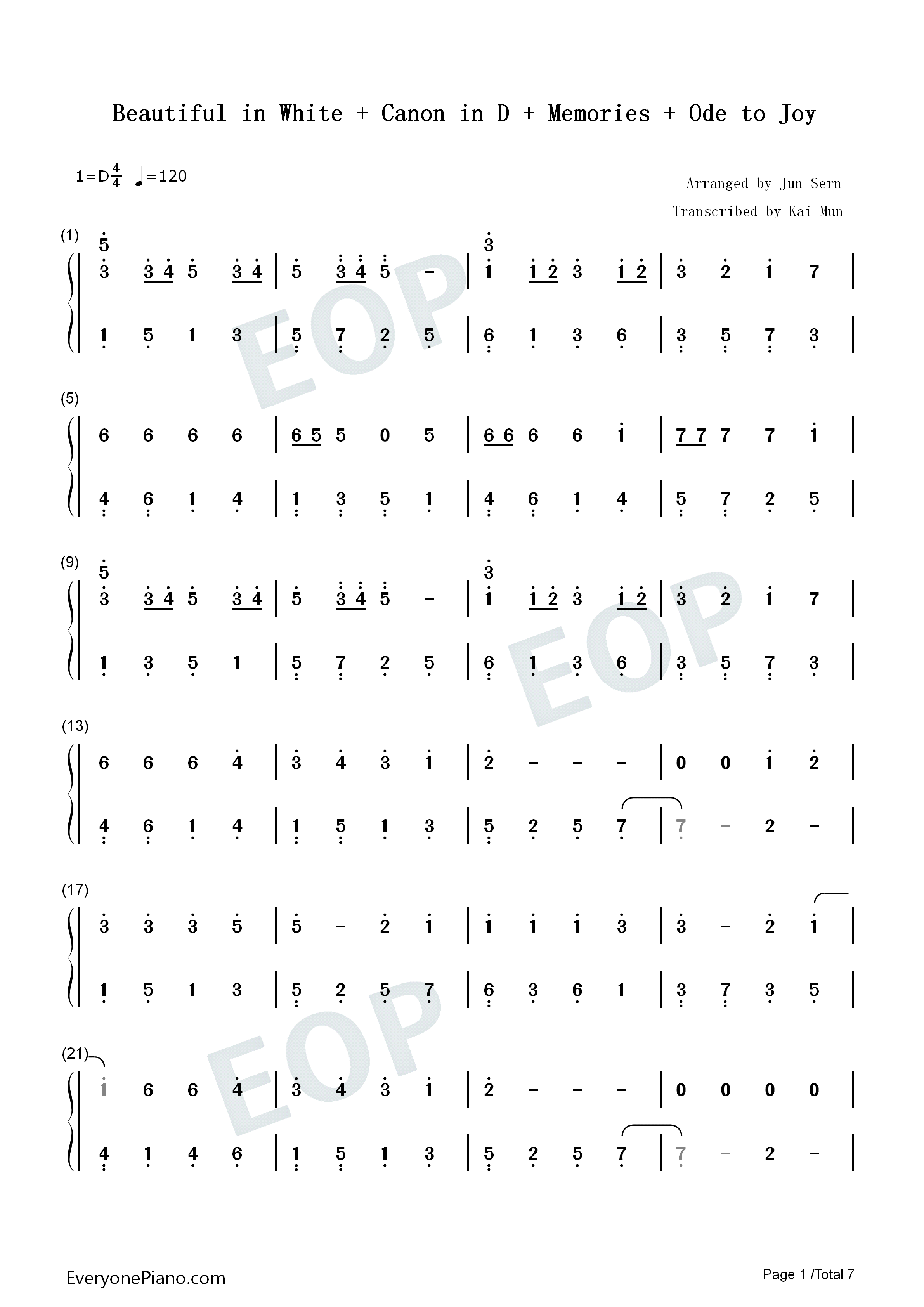 Beautiful in White-Canon in D 卡农-Memories-Ode to Joy双手简谱预览1