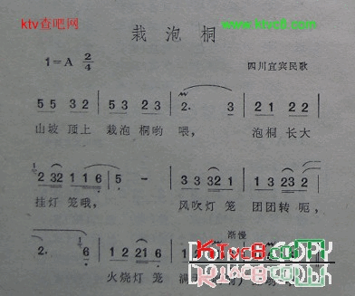 栽泡桐四川宜宾民歌简谱1