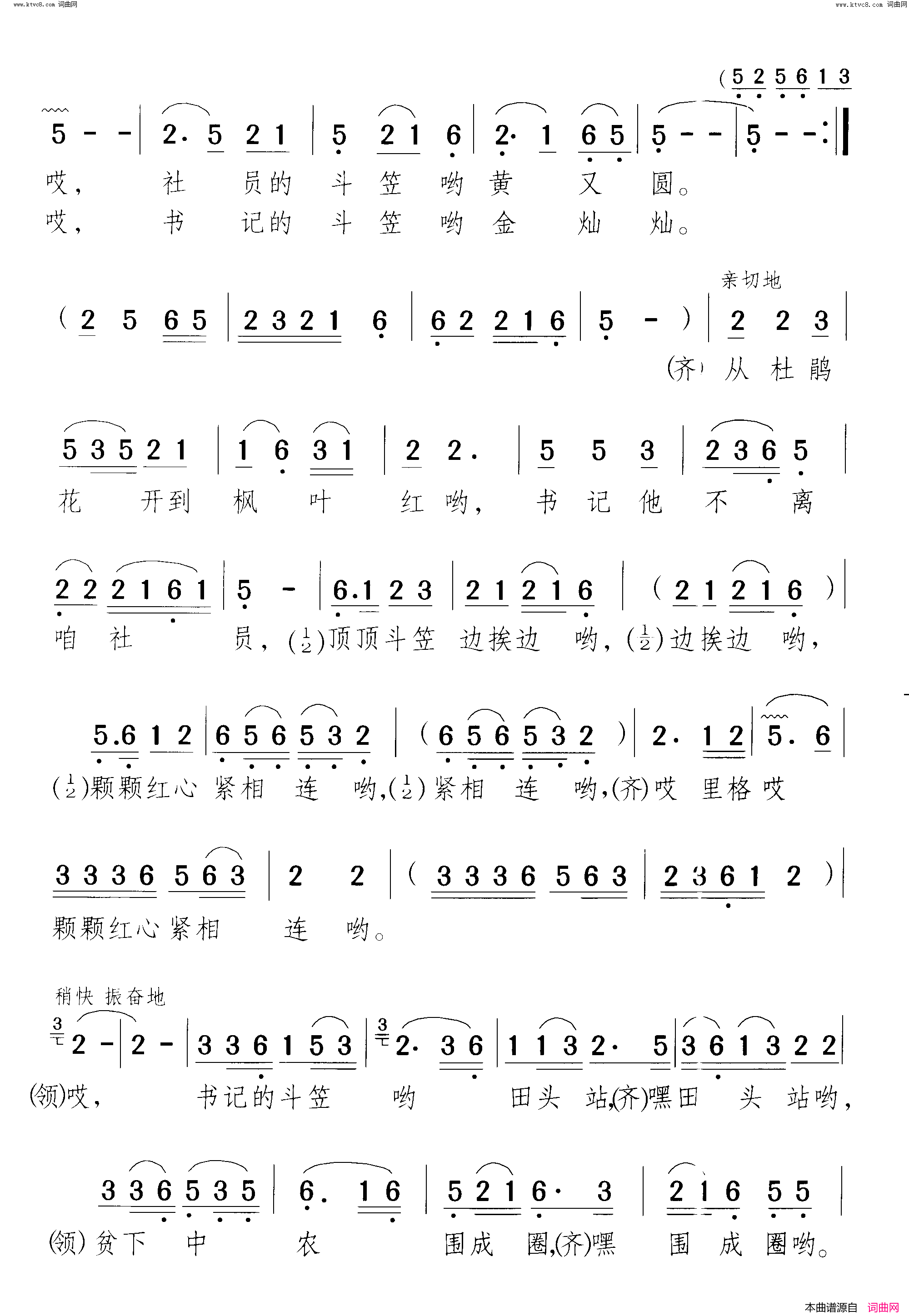 书记的斗笠金葵花简谱1