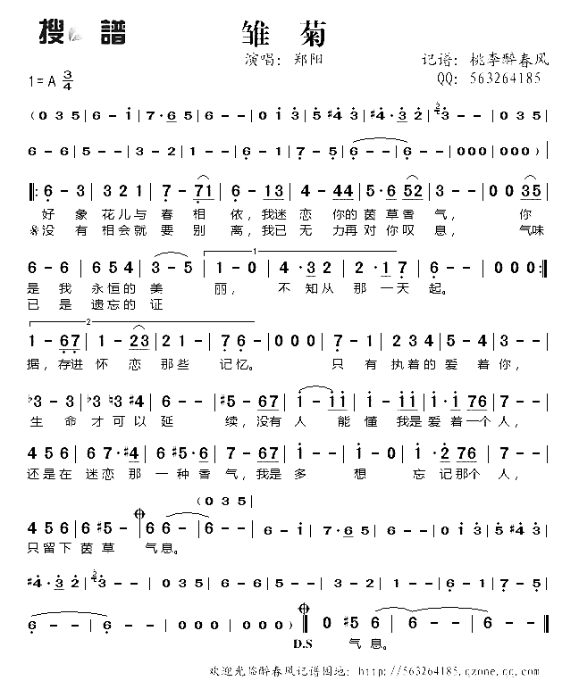 雏菊简谱-郑阳演唱1