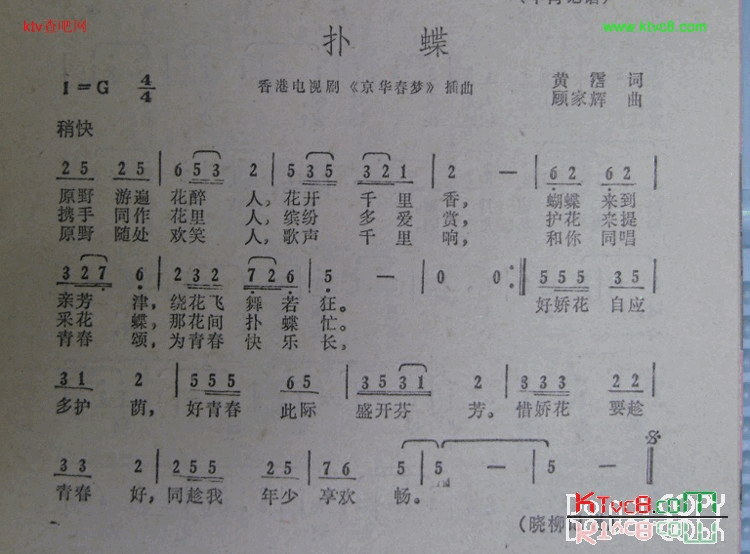 扑蝶简谱1