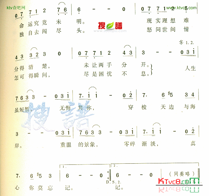 未曾后悔简谱1