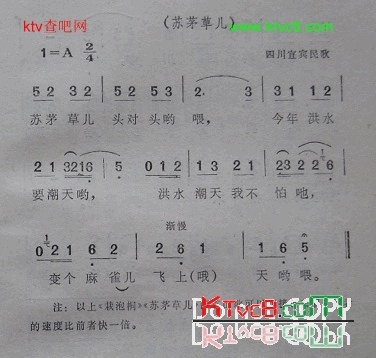 栽泡桐四川宜宾民歌简谱1