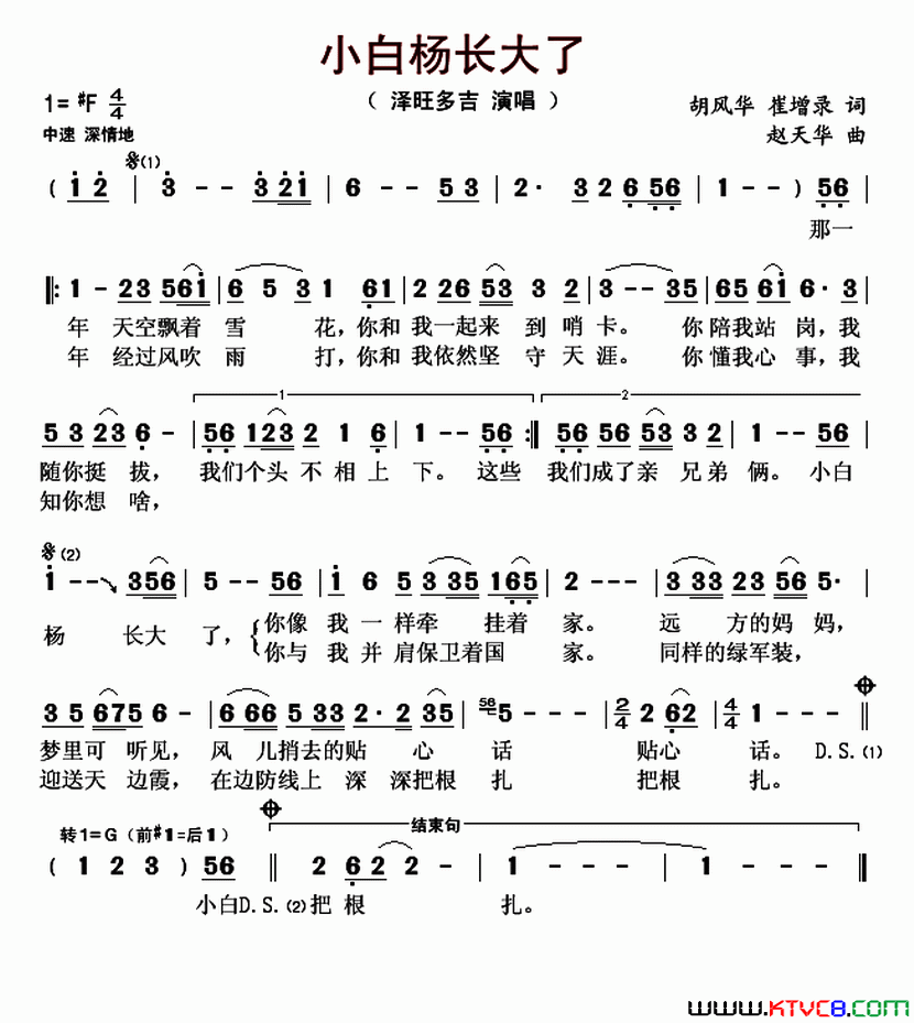 小白杨长大了简谱-泽旺多吉演唱-胡风华、崔增录/赵天华词曲1