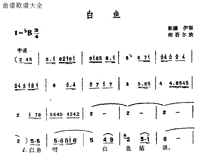 白鱼简谱1