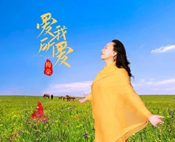 爱我所爱简谱(歌词)-梅朵歌曲-君羊曲谱