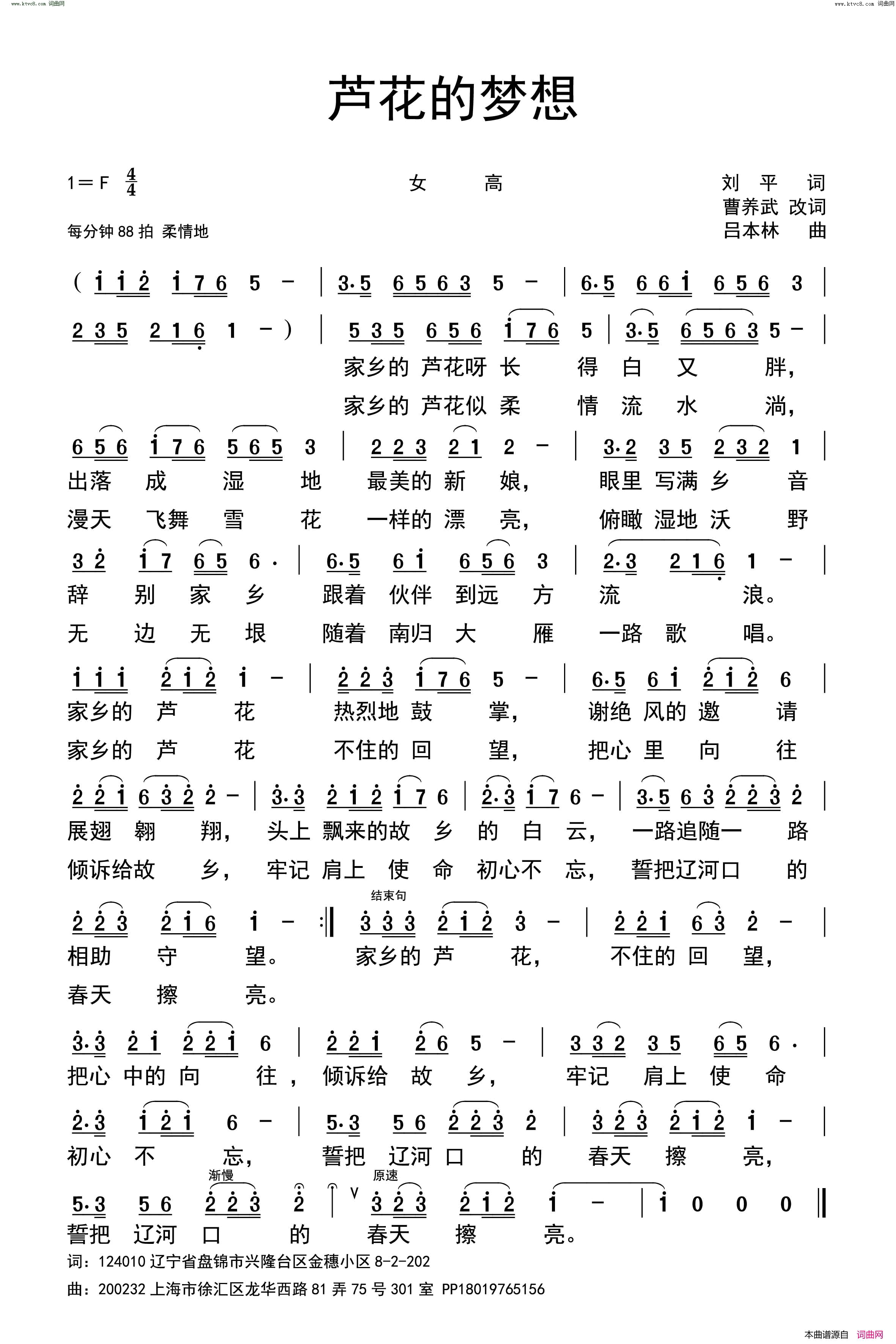 芦花的梦想简谱1