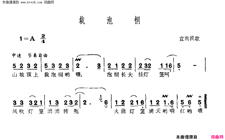 栽泡桐简谱1