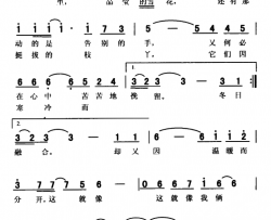 雪树简谱