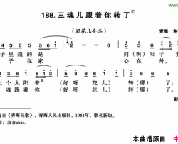 三魂儿跟着你转了简谱