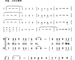 傍晚的太阳电视片《海豹》插曲简谱