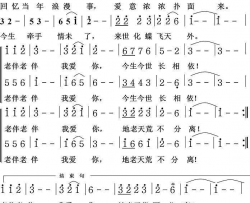 老伴老伴我爱你简谱