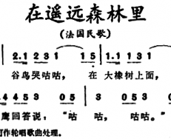 [法]在遥远森林里简谱