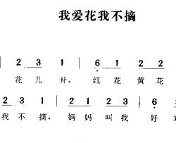 我爱花我不摘简谱