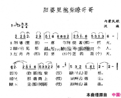 阳婆里抱柴瞭哥哥简谱