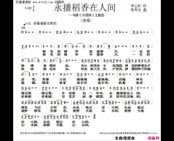 永播稻香在人间简谱