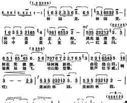 林园美简谱-电视音乐片《林园美》主题歌