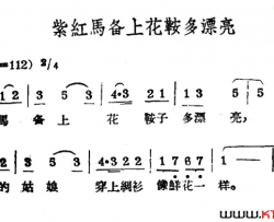 紫红马备上花鞍多漂亮哈萨克民歌简谱